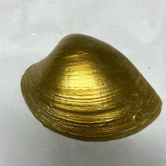 Hand Crafted Floral Blue Decorative Trinket Shell Dish - Picture 5 of 9